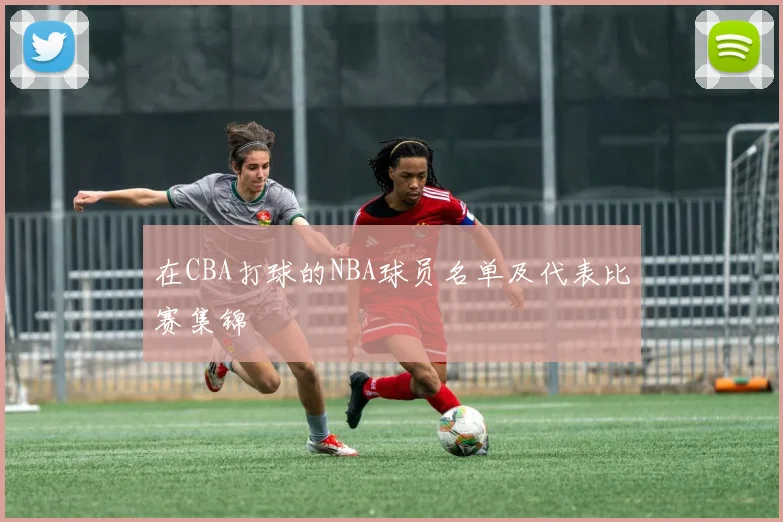 在CBA打球的NBA球员名单及代表比赛集锦
