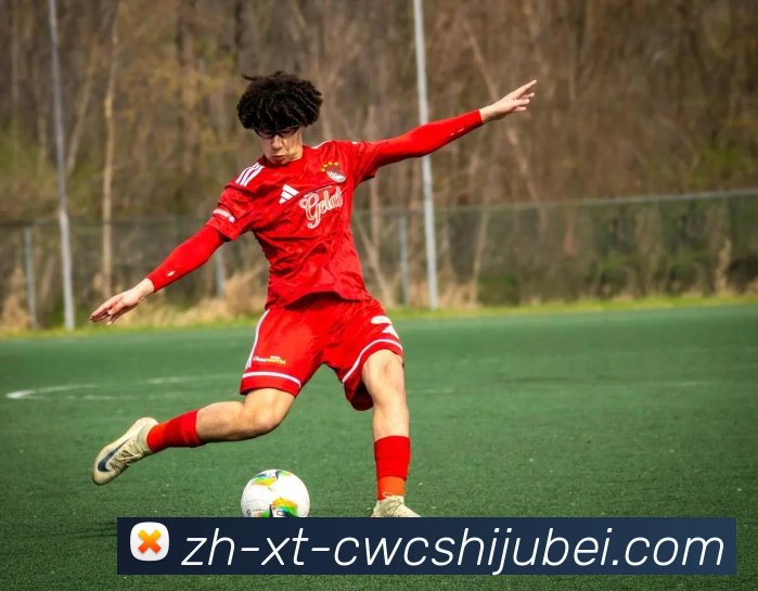 世界杯买球品牌故事